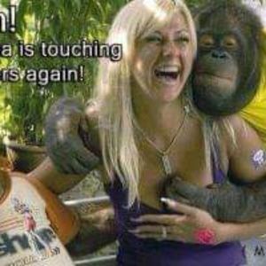 Meet your Posher, Bill